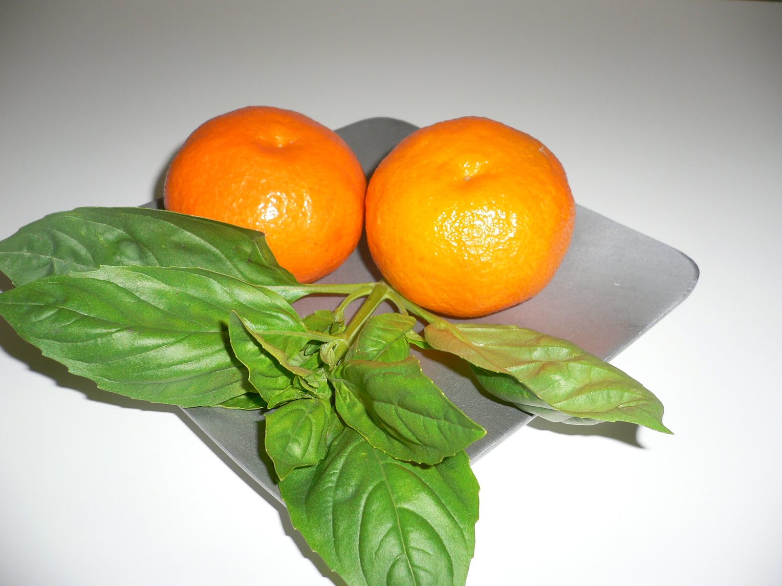 Mandarin Basilic
