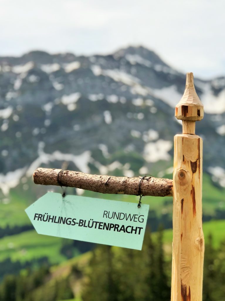 Familienausflug zum Kronberg