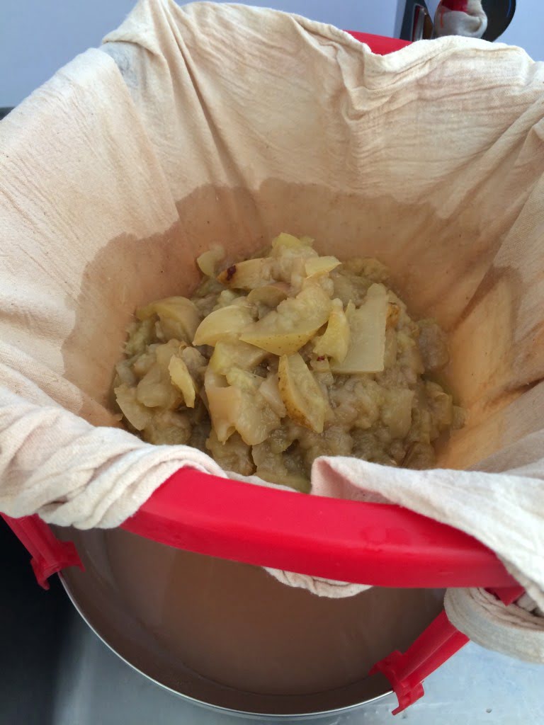 Apfel Gelee selber machen Rezept Verwertung