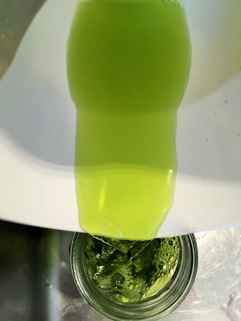 Halloween Dekoration: Was etwas Lebensmittelfarbe ausmachen kann!