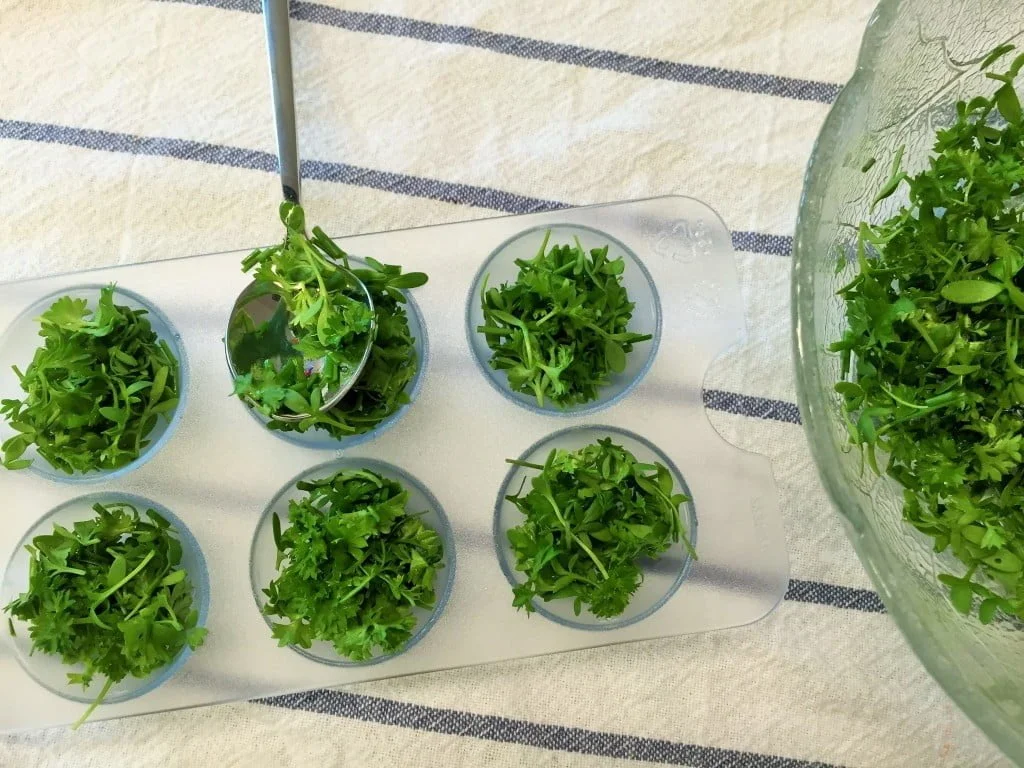 Salat Kräuter haltbar machen